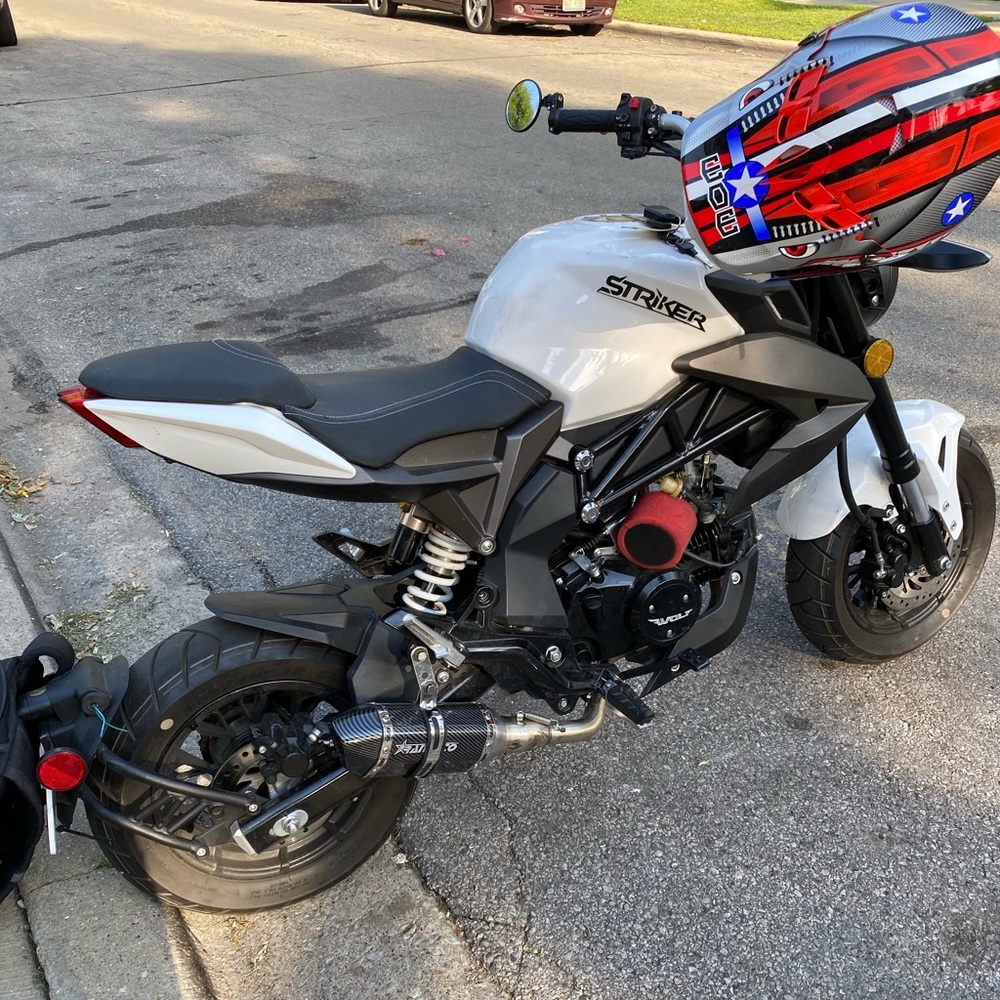 Wolf Stricker 125 2020